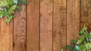 自然 外国語一覧でネーミング